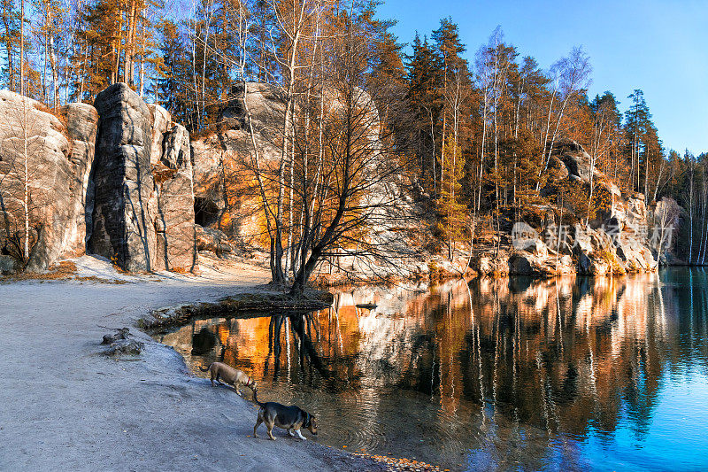 国家公园Adrspach-Teplice Rocktown的小湖